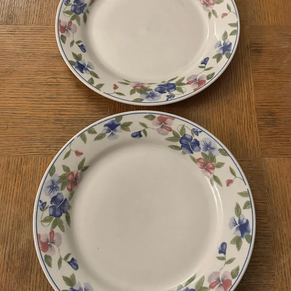 Set of 2 Majesticware by Oneida Freesia floral stoneware dinner plates, 11”
